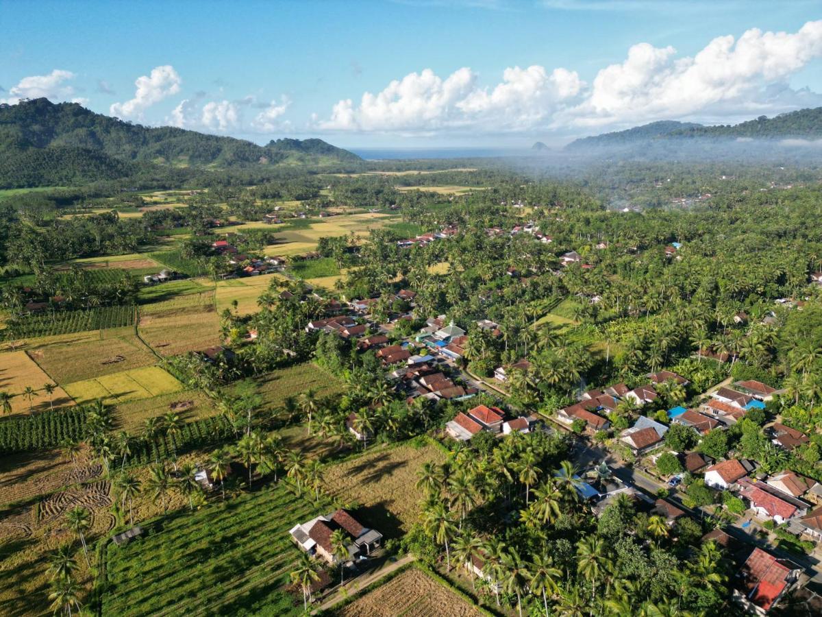 Adventure Turtle Homestay Meru Betiri Sarungan Екстер'єр фото