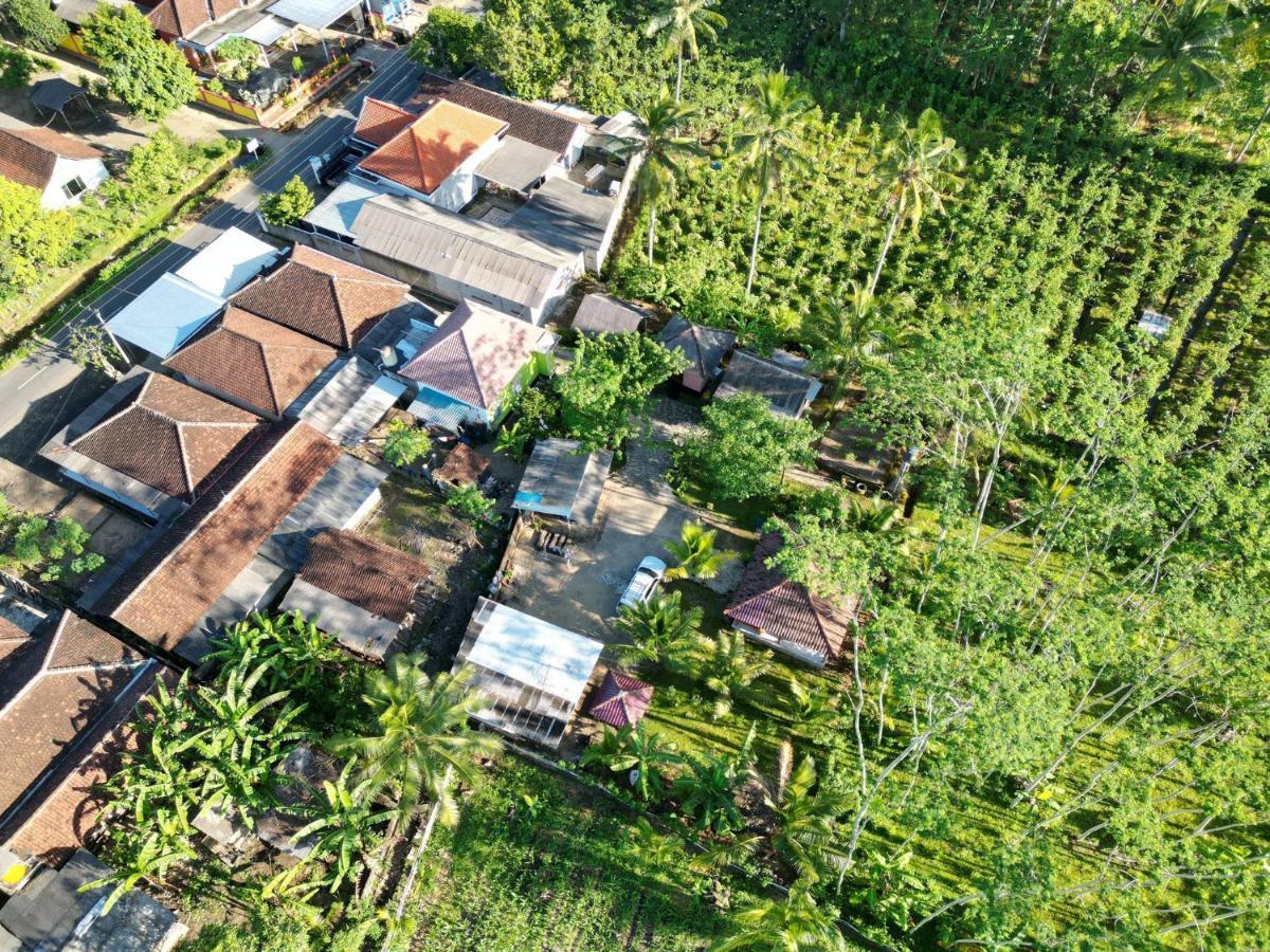 Adventure Turtle Homestay Meru Betiri Sarungan Екстер'єр фото