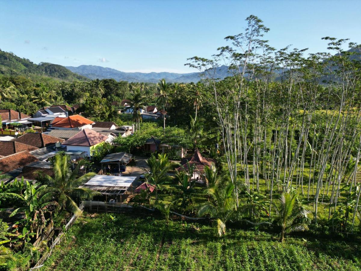 Adventure Turtle Homestay Meru Betiri Sarungan Екстер'єр фото