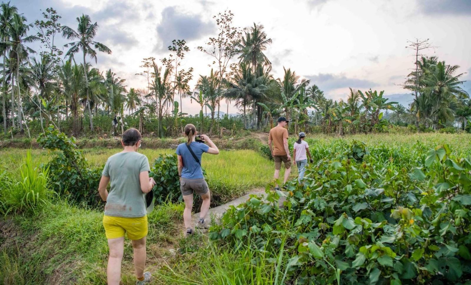 Adventure Turtle Homestay Meru Betiri Sarungan Екстер'єр фото