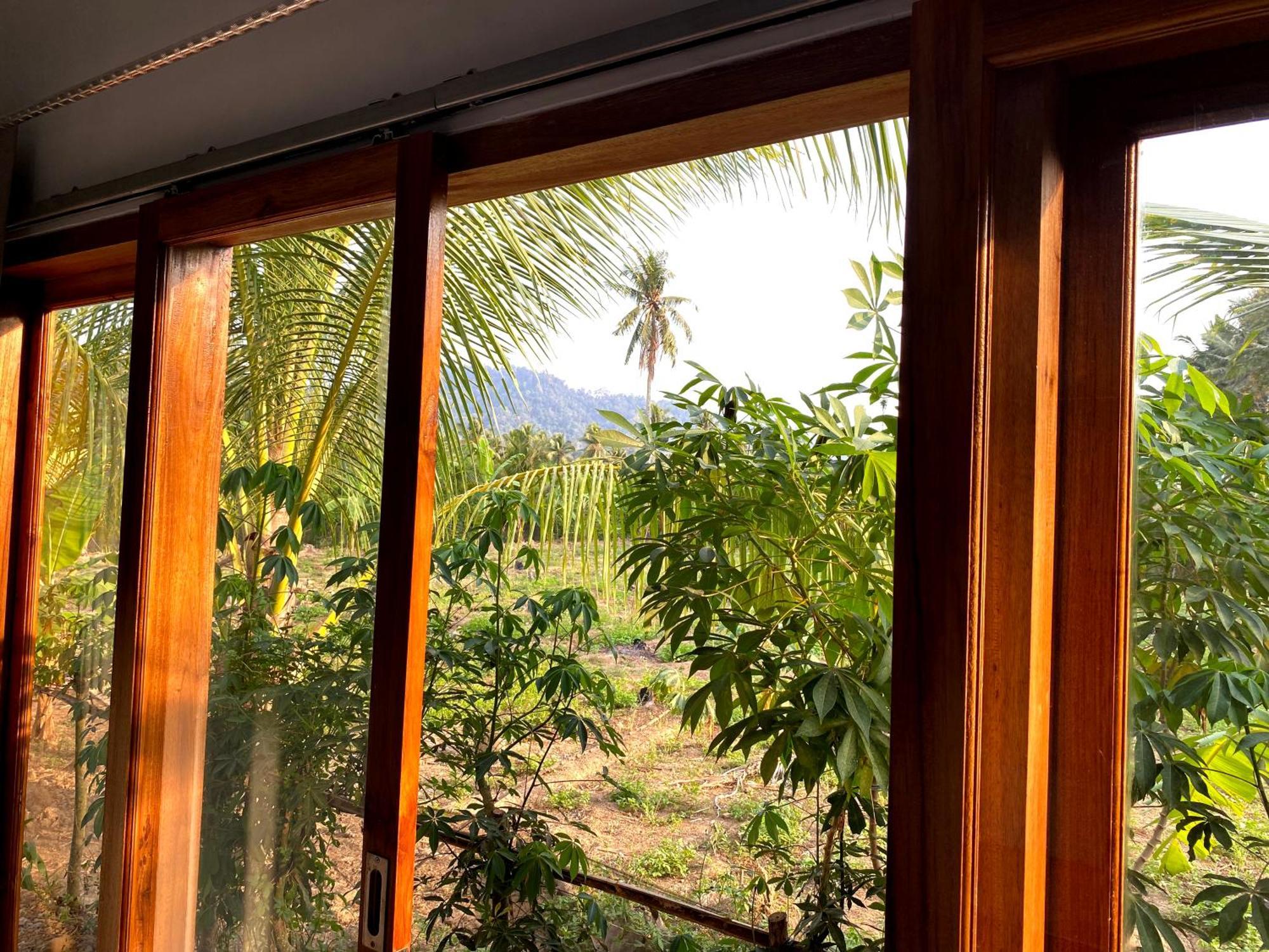 Adventure Turtle Homestay Meru Betiri Sarungan Екстер'єр фото