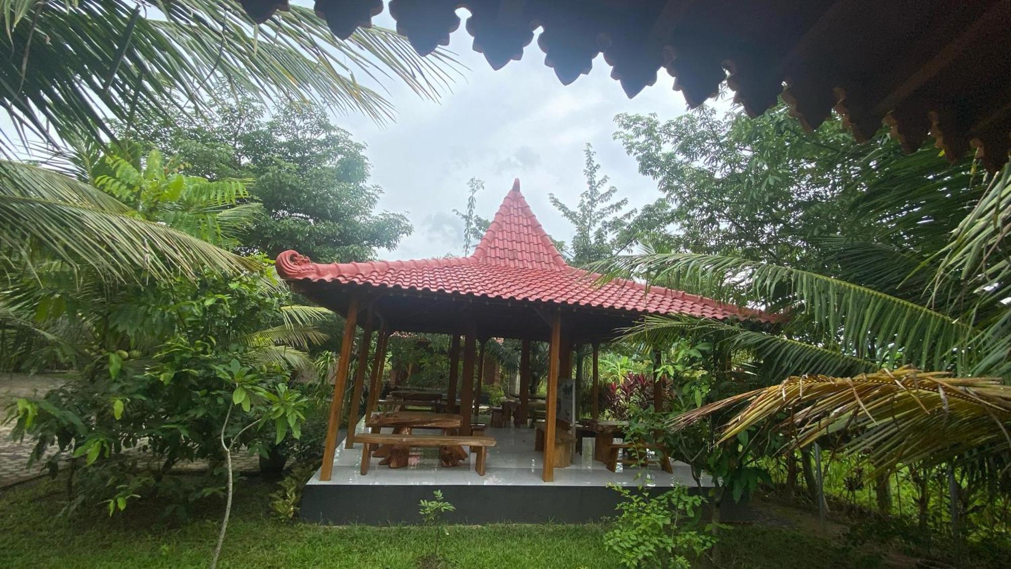 Adventure Turtle Homestay Meru Betiri Sarungan Екстер'єр фото